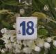 CIOCCOLATINO SEGNAPOSTO 18 ANNI