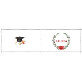 BIGLIETTINO CONFETTI LAUREA CON TOCCO