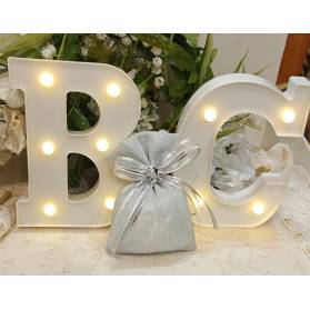 SACCHETTO LUREX NOZZE D'ARGENTO CON SPILLA