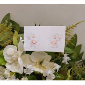 BIGLIETTINO NASCITA ORSETTO GEMELLI