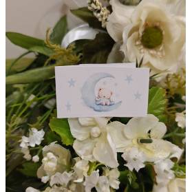 BIGLIETTINO NASCITA ORSETTO SULLA LUNA