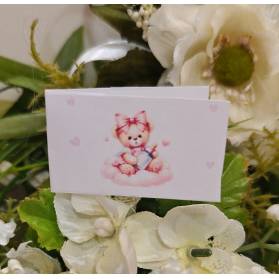 BIGLIETTINO NASCITA ORSETTO