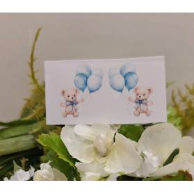 BIGLIETTINO NASCITA ORSETTO GEMELLI