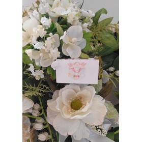 BIGLIETTINO NASCITA MONGOLFIERA