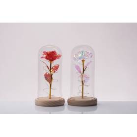 ROSA IN AMPOLLA DI VETRO CON CONFEZIONE